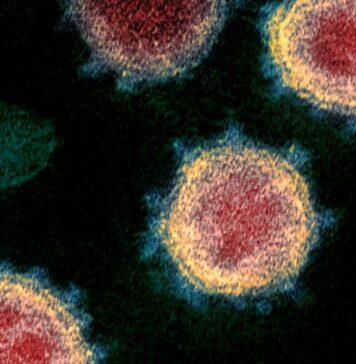 New Study Adds More Evidence for Omicron Immune Evasion