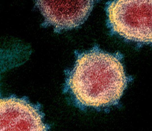 New Study Adds More Evidence for Omicron Immune Evasion