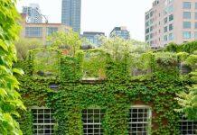 Up on a roof: why New Zealand’s move towards greater urban density should see a rooftop revolution