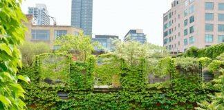 Up on a roof: why New Zealand’s move towards greater urban density should see a rooftop revolution