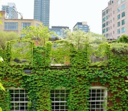 Up on a roof: why New Zealand’s move towards greater urban density should see a rooftop revolution