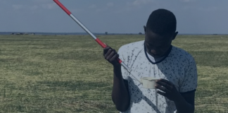 Experts Reveal Role of Secondary Species of Mosquito in Malaria Transmission