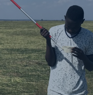 Experts Reveal Role of Secondary Species of Mosquito in Malaria Transmission