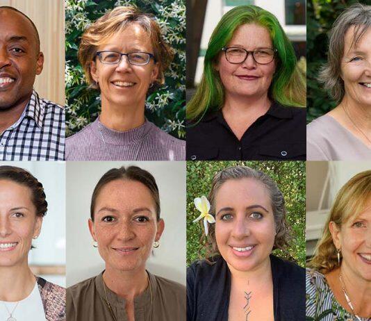 Interdisciplinary team wins health grant