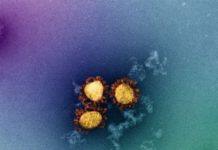 T cells fit to tackle Omicron, suggests new study