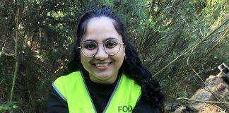 Nutritional value of huhu grubs assessed for the first time