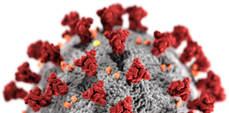 Some COVID-19 symptoms could be anxiety driven, show hearing scientists