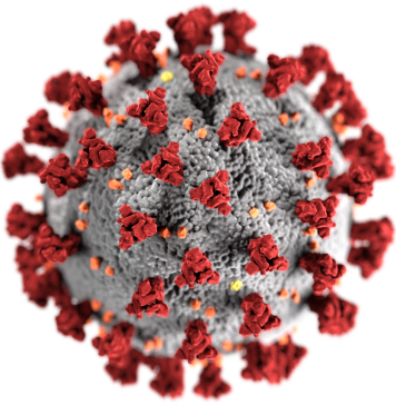 Some COVID-19 symptoms could be anxiety driven, show hearing scientists