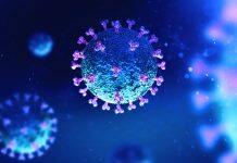 Correlation found between weather conditions and lower COVID-19 fatality rates: CityU research study