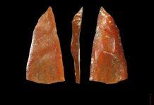 Fossil discovery rewrites history of modern human arrival in Europe