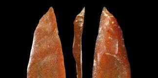 Fossil discovery rewrites history of modern human arrival in Europe