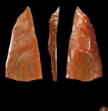 Fossil discovery rewrites history of modern human arrival in Europe