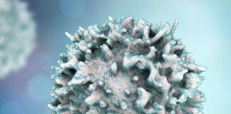 Funding support to discover ways to block the migration of T-cells responsible for MS