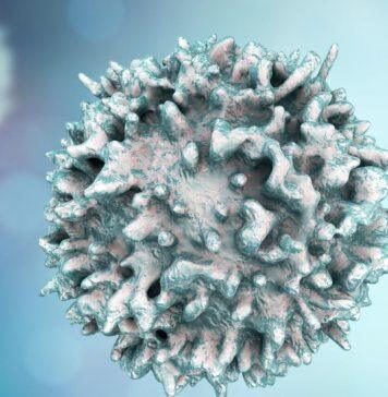 Funding support to discover ways to block the migration of T-cells responsible for MS