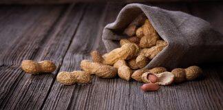 Treatments that induce peanut allergy remission in children discovered