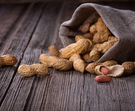 Treatments that induce peanut allergy remission in children discovered