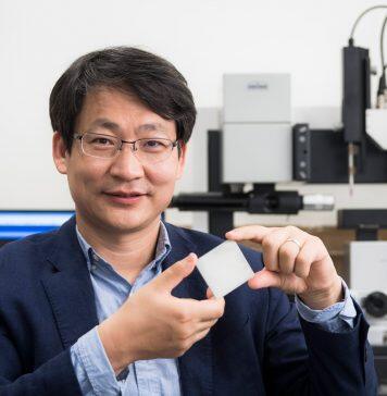 Distinguished CityU scholar wins Green Tech Award