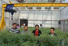 Students break down borders for crop heat and drought research