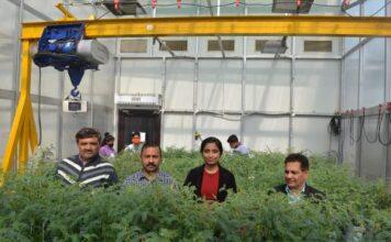 Students break down borders for crop heat and drought research