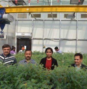 Students break down borders for crop heat and drought research