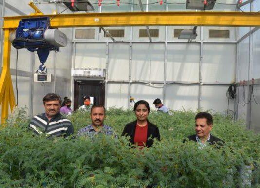 Students break down borders for crop heat and drought research