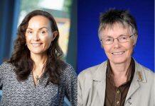 Waikato researchers recognised as Royal Society Te Apārangi Fellows