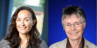 Waikato researchers recognised as Royal Society Te Apārangi Fellows