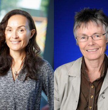 Waikato researchers recognised as Royal Society Te Apārangi Fellows