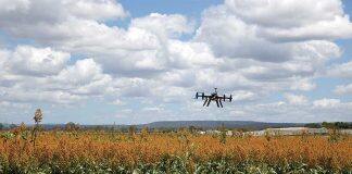 Agrifood Digital Lab and the NZ Product Accelerator announce hub for Palmerston North