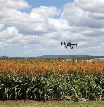 Agrifood Digital Lab and the NZ Product Accelerator announce hub for Palmerston North