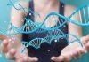 Endometriosis and ovarian cancer genetically tied