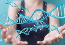 Endometriosis and ovarian cancer genetically tied