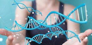 Endometriosis and ovarian cancer genetically tied