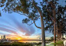 Report explores WA’s future as we head towards 2050