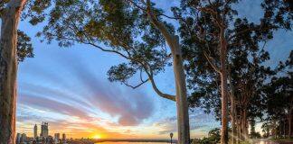 Report explores WA’s future as we head towards 2050