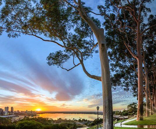 Report explores WA’s future as we head towards 2050