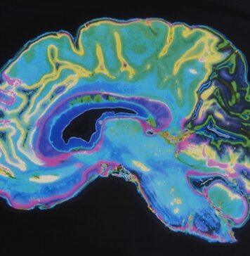 New study to look at what is happening in your brain under the influence of psychedelic drugs