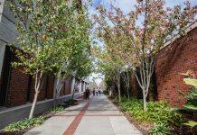 University-wide accessibility enhances experiences for students with disability