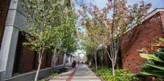 University-wide accessibility enhances experiences for students with disability