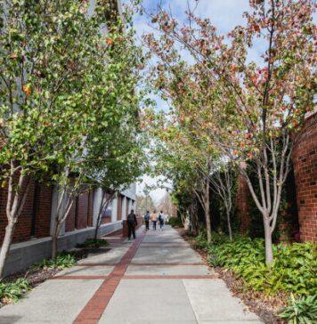 University-wide accessibility enhances experiences for students with disability