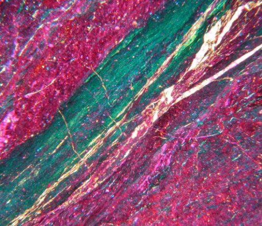 A Slow-Motion Section of the San Andreas Fault May Not Be So Harmless After All