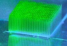 Tiny ‘skyscrapers’ help bacteria convert sunlight into electricity