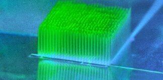 Tiny ‘skyscrapers’ help bacteria convert sunlight into electricity