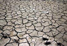 Edinburgh scientists add voices to UN climate report