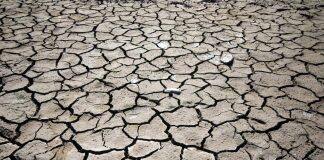 Edinburgh scientists add voices to UN climate report