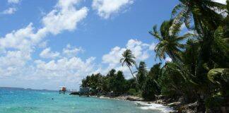 Climate-action scholarships for Pacific Island nations students
