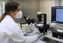 Otago student wins $160,000 at Māori Career Development in Cancer Research Awards