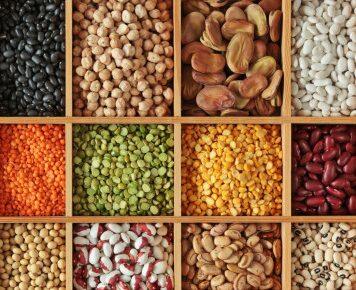 Lincoln and Massey Universities to collaborate on primary sector projects