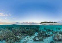 ‘Innovative, high-tech’ monitoring program a winner for the Reef