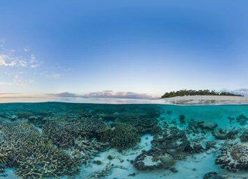 ‘Innovative, high-tech’ monitoring program a winner for the Reef